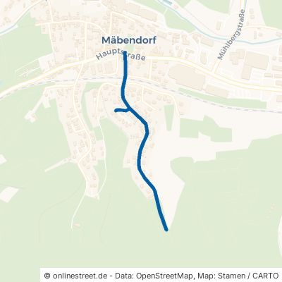 Langes Tal Suhl Mäbendorf 