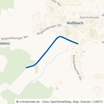 Flurweg Wald Roßbach 
