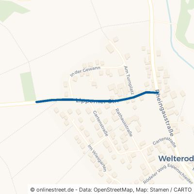 Lipporner Straße Welterod 
