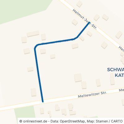 Thomas-Müntzer-Straße Dahlen Schwarzer Kater 