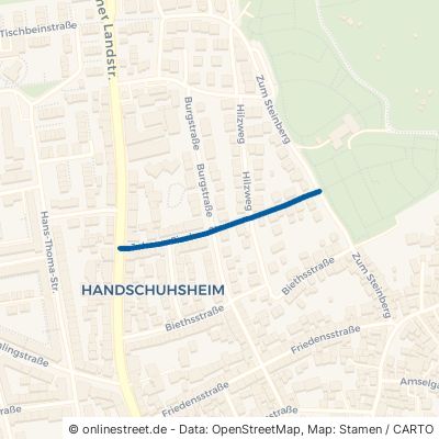 Johann-Fischer-Straße Heidelberg Handschuhsheim 