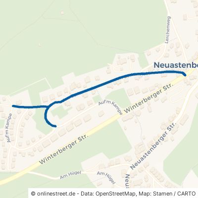 Am Gerkenstein Winterberg Neuastenberg 
