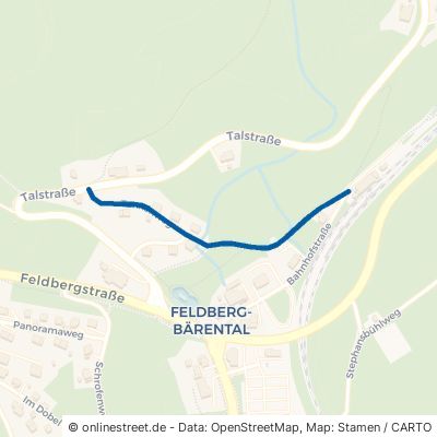 Tannenweg Feldberg Bärental 