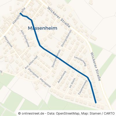 Gartenstraße 65239 Hochheim am Main Massenheim 
