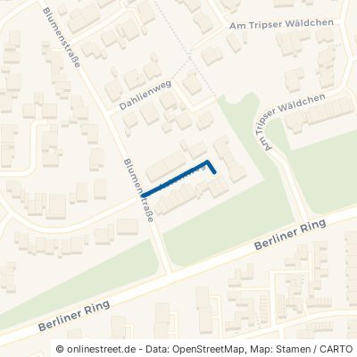 Asternweg 52511 Geilenkirchen 