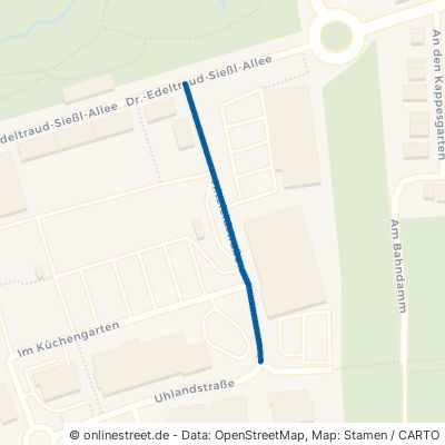 Hitzfeldstraße 67292 Kirchheimbolanden 
