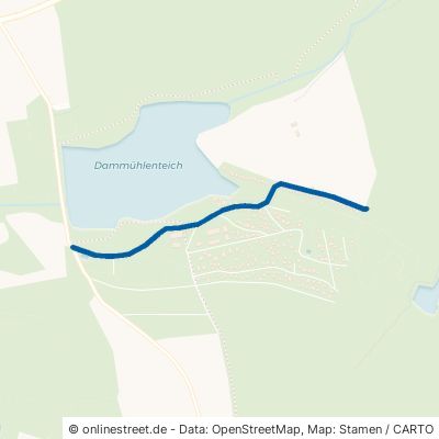 Hauptweg Dahlen Frauwalde 