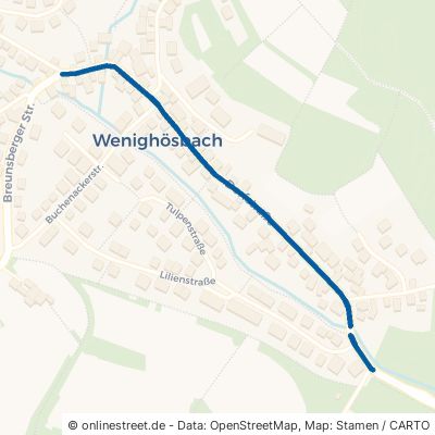 Dorfstraße Hösbach Wenighösbach 