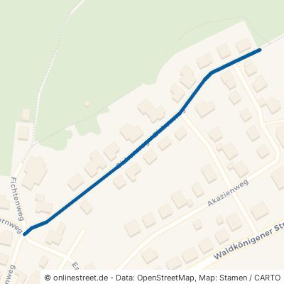 Birkenweg Daun Waldkönigen 