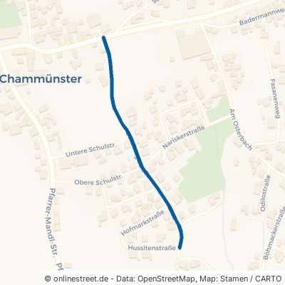 Goldberglstraße Cham Chammünster 