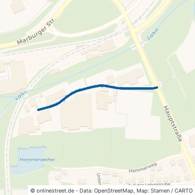 Ludwig-Grebe-Straße 35216 Biedenkopf Wallau 