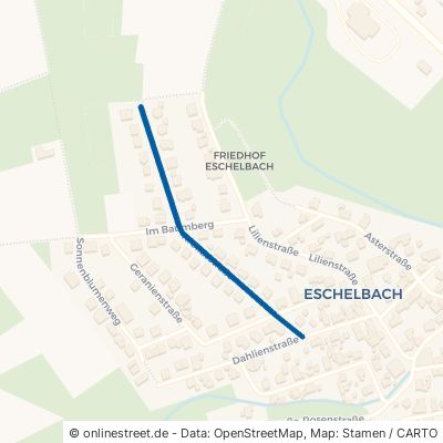 Krokusstraße Montabaur Eschelbach 