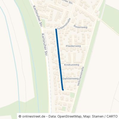 Nelkenstraße Linkenheim-Hochstetten Linkenheim 