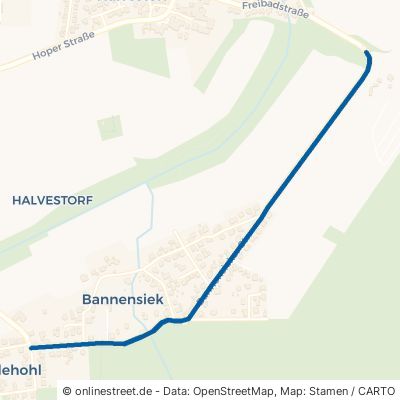 Bannensieker Straße Hameln Halvestorf 