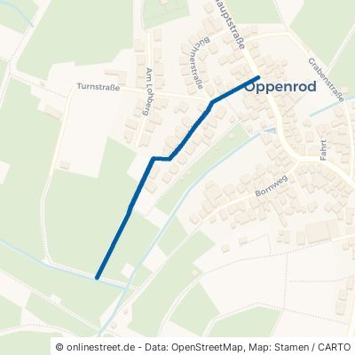 Lohwaldstraße Buseck Oppenrod 