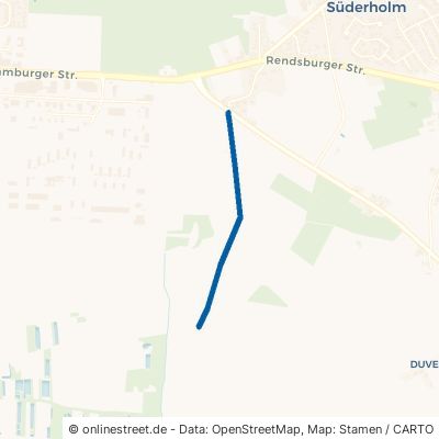 Poggensietsweg Heide Süderholm 