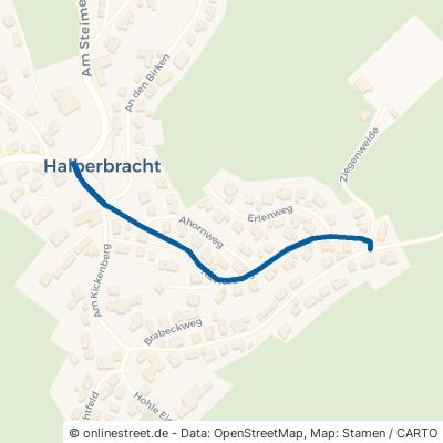 Hasterbergstraße Lennestadt Halberbracht 