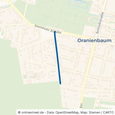 Franzstraße 06785 Oranienbaum-Wörlitz Oranienbaum Oranienbaum