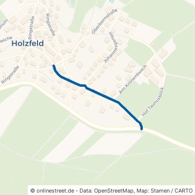 Oberwies Boppard Holzfeld 