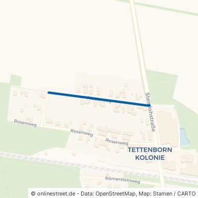 Fliederweg Bad Sachsa Tettenborn-Kolonie 