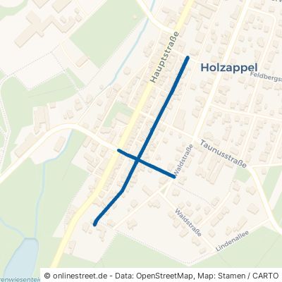 Esteraustraße Holzappel 