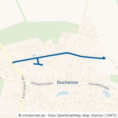 Thomas-Müntzer-Straße Ducherow 