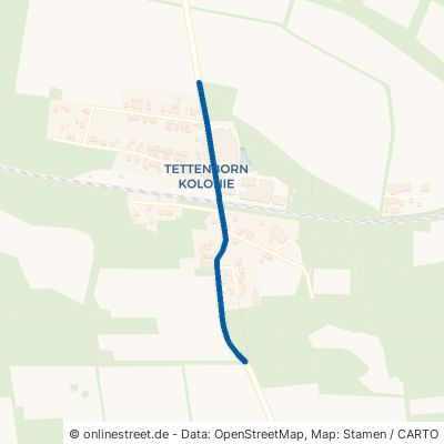 Steinlohstraße Bad Sachsa Tettenborn-Kolonie 