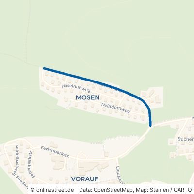 Weidenstraße Siegsdorf Mosen 