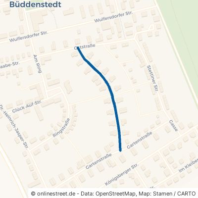 Birkenstraße Büddenstedt 