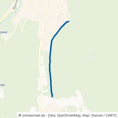 Waldrandweg Neckargemünd 