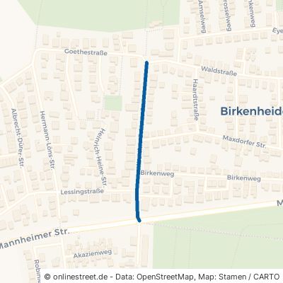 Albertine-Scherer-Straße Birkenheide 