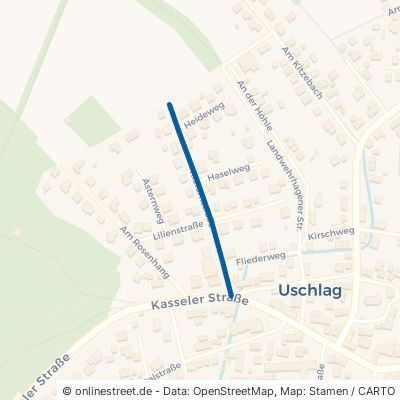 Kiefernstraße Staufenberg Uschlag 