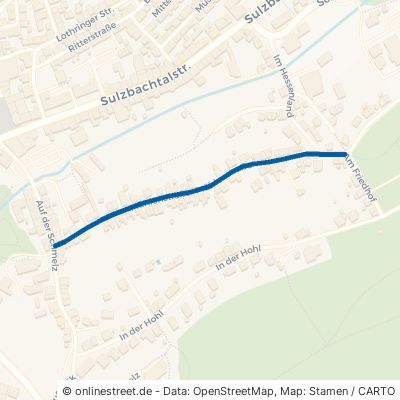 Mühlenstraße 66280 Sulzbach (Saar) 