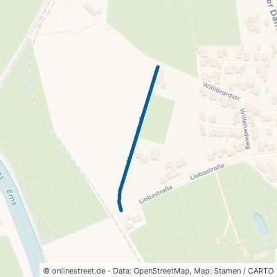 Moosvennstraße Rheine Schotthock 