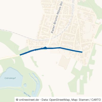 Hördter Straße Germersheim Sondernheim 