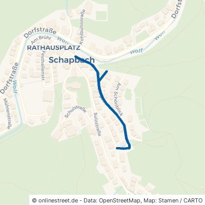Polderbergstraße 77776 Bad Rippoldsau-Schapbach Schapbach 