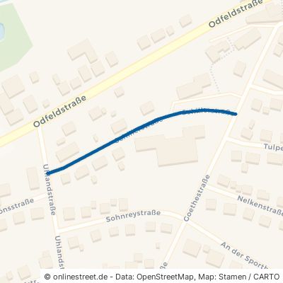 Schillerstraße Eschershausen 