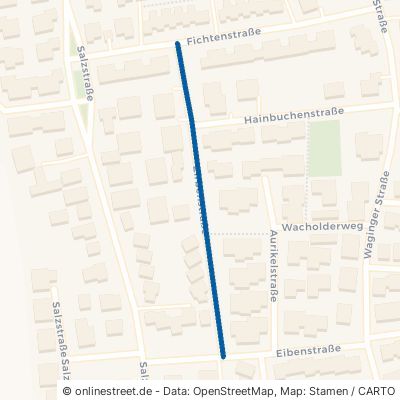 Zirbenstraße 83395 Freilassing 