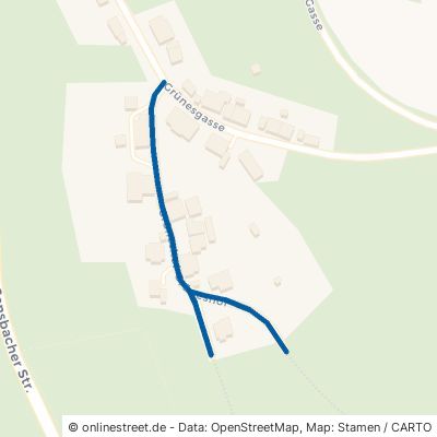 Grüneshof 64760 Oberzent Unter-Sensbach 