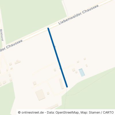 Dameswalder Weg Löwenberger Land Nassenheide 