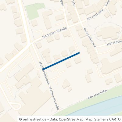 Bürgermeister-Kruse-Straße 49740 Haselünne 