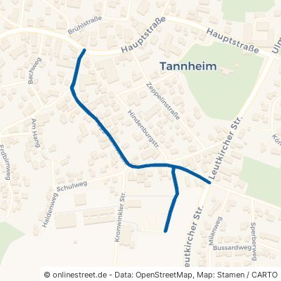 Eggmannstraße Tannheim 