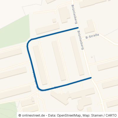 Prof.-Dr.-Dieckmann-Straße Aue 