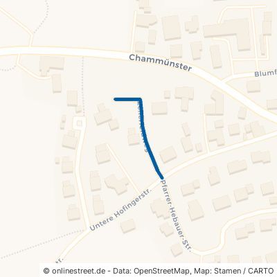 Zellerfeldweg Cham Chammünster 