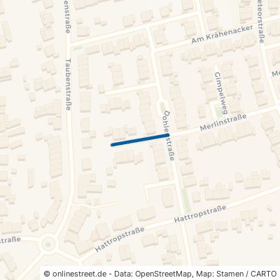Christine-Hirschmann-Weg 47443 Moers Meerbeck 
