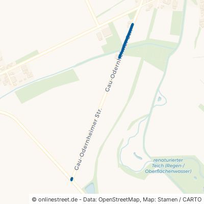 Gau-Odernheimer Straße 55234 Bechtolsheim 