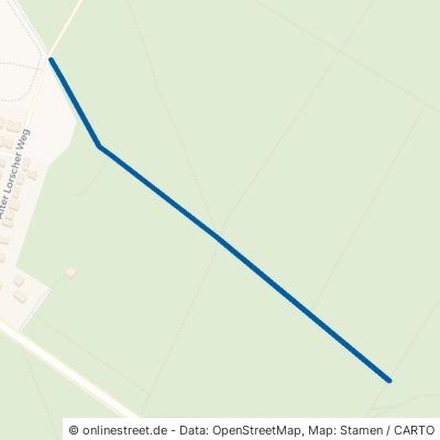 Mühlweg Lampertheim Neuschloß 