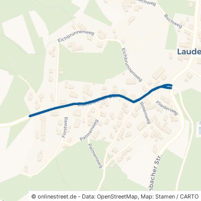 Balsbacher Straße 74838 Limbach Laudenberg 