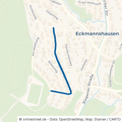 Eibenweg Netphen Eckmannshausen 