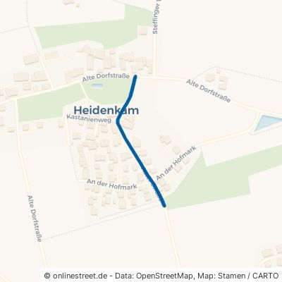 Aster Straße Tiefenbach Heidenkam 